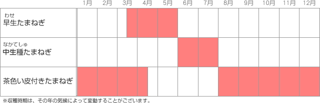 収穫時期によって分別される3種類の淡路たまねぎ